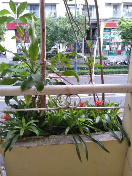 BÁN NHÀ 1 TRỆT 1 LẦU - MẶT TIỀN ĐƯỜNG NGUYỄN HỮU HÀO, QUẬN 4