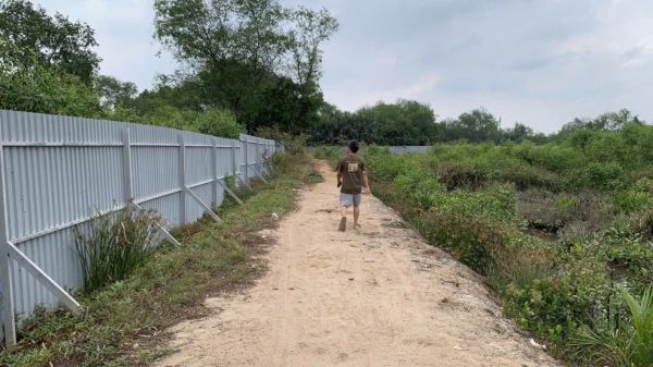 Cần Bán Gấp Đất Nông Nghiệp Đường Gò Ô Môi – Phường Phú Thuận, Quận 7